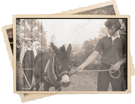 June brings out the farm boy in me Mike-Mule-Film.gif