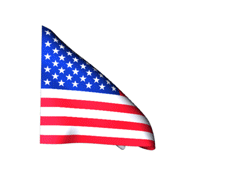 Remembering our Veterans usa_240-animated-flag.gif
