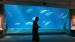 Professor offers 'top 10' list of must-see museums