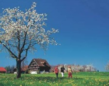 Getting pamered in Switzerland
