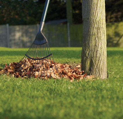 Are your fall lawn and garden priorities in order? hi--rake.jpg