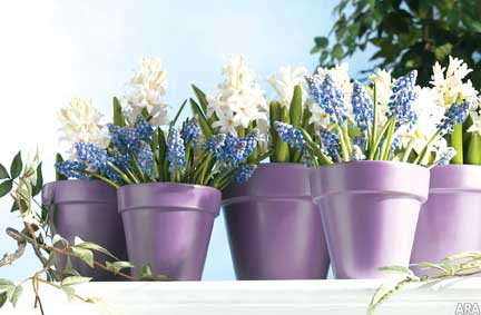 Inexpensive ways to bring spring into your home springhomeflowers.jpg