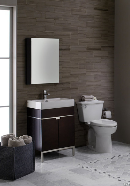 Remodel bathrooms for safety, comfort hi-bath-vert.jpg