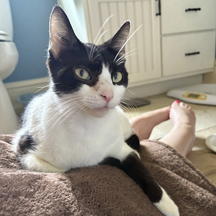 Pet of The Week Orca.png