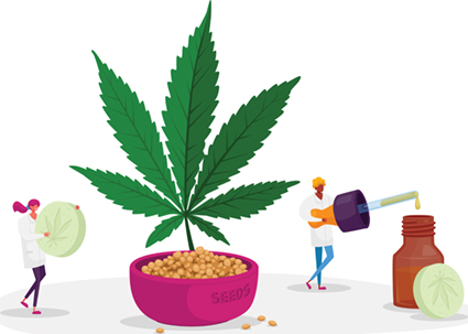 Cannabis and change of life Cannabis.jpg
