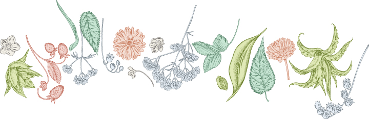 Handling mild ADHD  Herbology.jpg