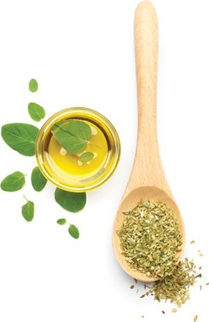 It's cold and flu season Oregano.jpg