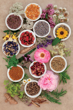 Looking to nature for safer pain relief Healing-Herbs.jpg
