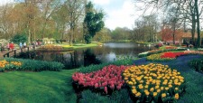  18hollandkeukenhofbest.jpg