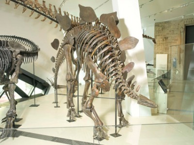 Theater buff finds Toronto's other highlights delightful dinosaur.jpg